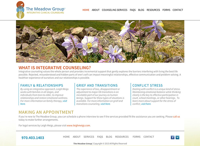 Website Design The Meadow Group