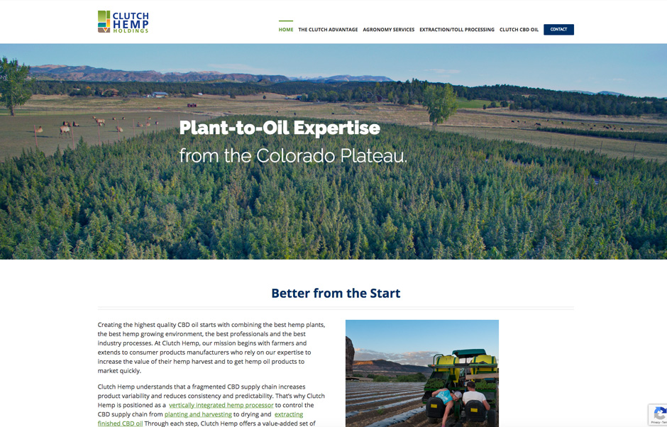 Clutch hemp holdings website home page